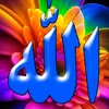 user287601501