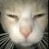 juan_mr1106