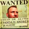 panda_d._andre