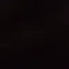 null204