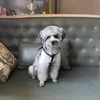 Tạp Hoá Của Tít 🐶