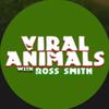 viralanimalstv