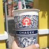 alligator_chankimha