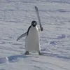 baobeibaobeibeii
