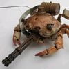 adumbcrab