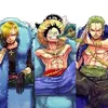 zoro.luffy.sanji