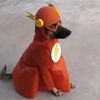 davok9618