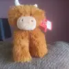 mollymassam