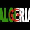 aissalahmer