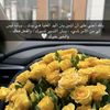 mona_liza1200