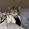 thyswipe2