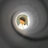 2072006ziad