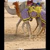 العوادي❤️🐪🇦🇪