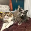 lordsageandladybelle