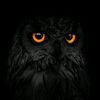uzi_balde