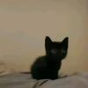 annieunu