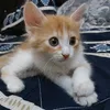 anizkhadija