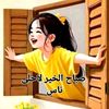 nawalbareche3