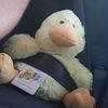 _lucky5ducky_
