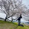 りんりん