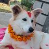 kalpanapathak84