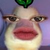 zxzxn_nopitaa
