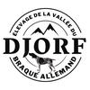 Elevage De La Valleé Du DJORF