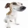 onkeltraktormaskin