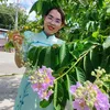 eny_phung