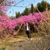 truongcoi91