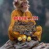 serpihankaca8984