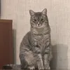 katiiii562