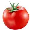 tomatoisbest6