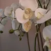 mamareilly77