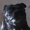 seanjoyjoe