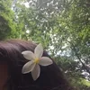 eneida____