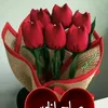 souadzabat001