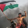 habibi8187