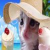 cutekitty______