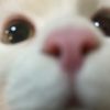 justcallmenader