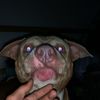 mason01134