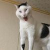 _imdondon05