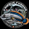 kampuschanna_2