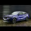 x6_roxo