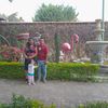 hermayori18