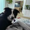 lucy22227