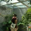 ntdat_37
