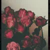 vitamine567_m10