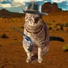 lolokawif_rdr2