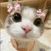 mee.yoon1122